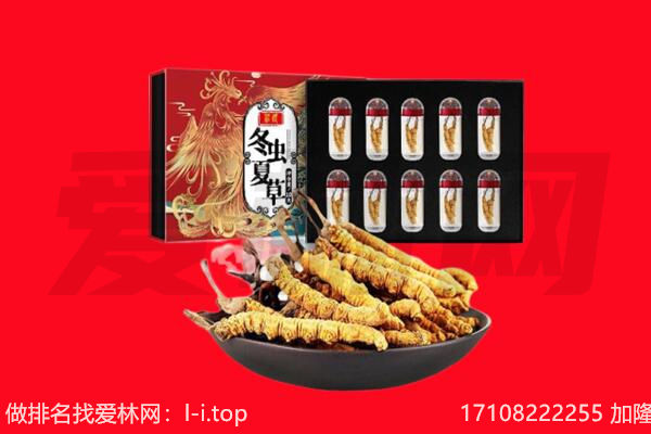 银川回收虫草.jpg